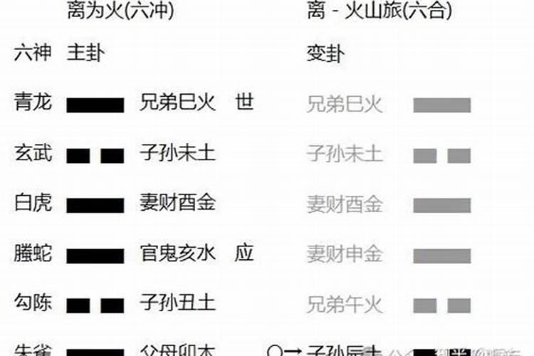 合婚 丁巳日柱和什么干支配比较好？