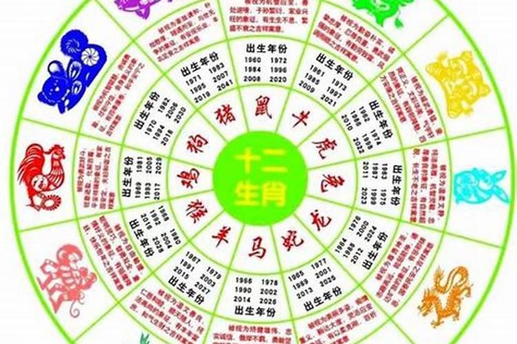 属羊会成为人中龙凤吗