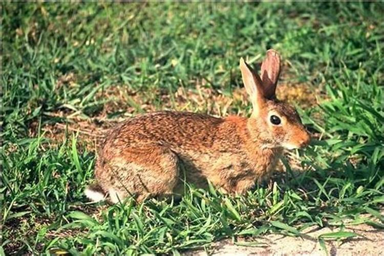 梦到回家的路困难重重特别难走