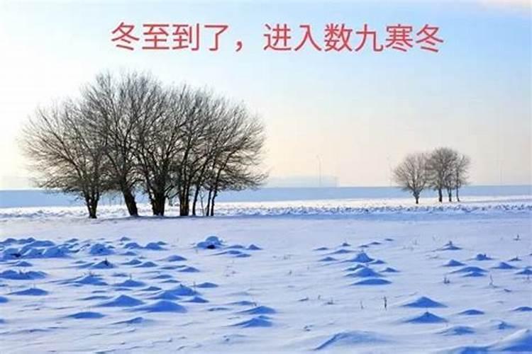 地理上 春分 夏至 秋分 冬至 都是几号？