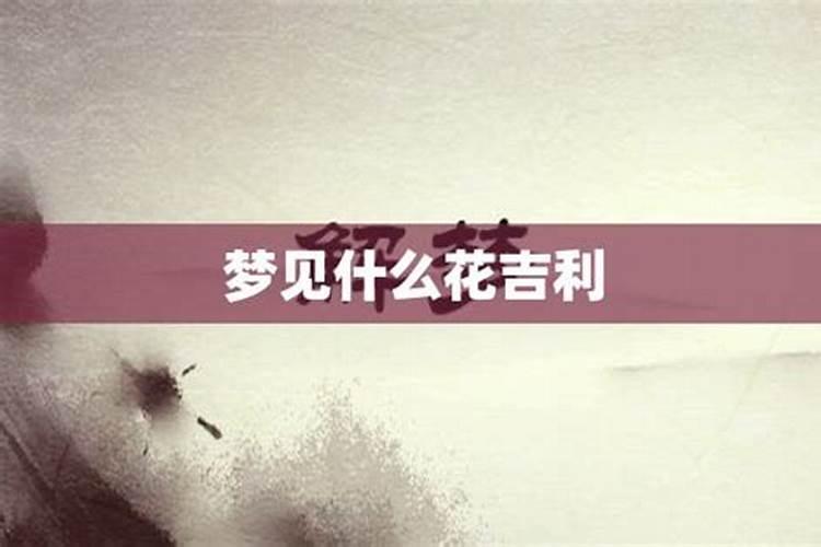 做什么梦不太好 梦到什么不好