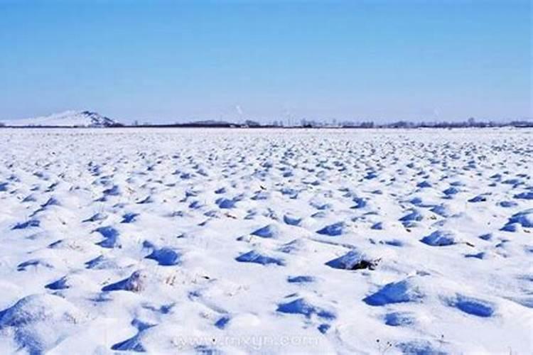梦见大雪遍地的预兆
