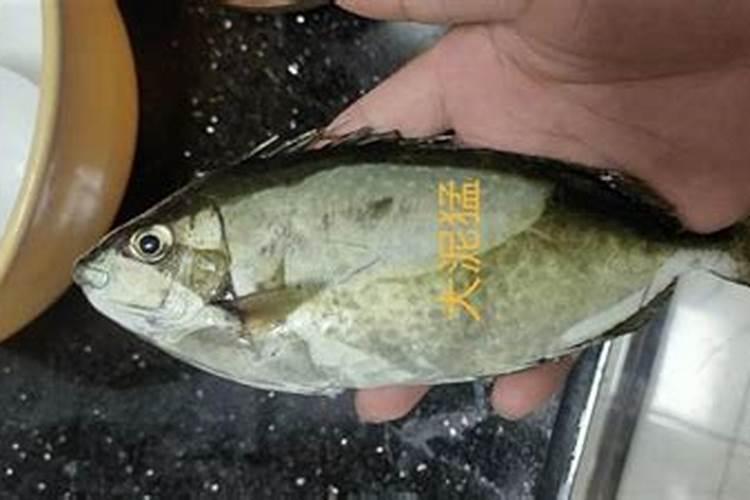 频繁梦到同一个异性说明什么