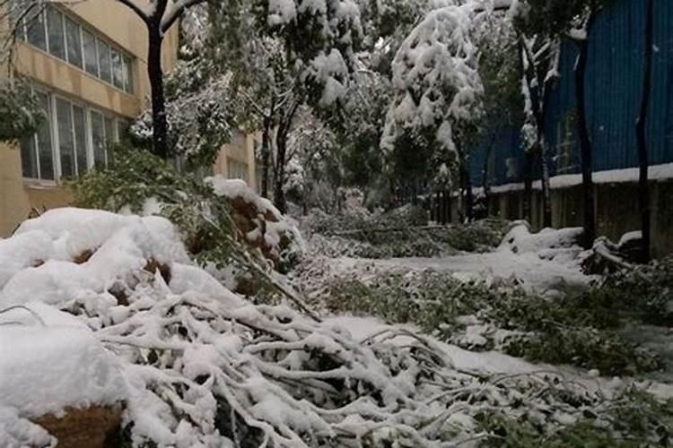 小年下雪有什么预兆？
