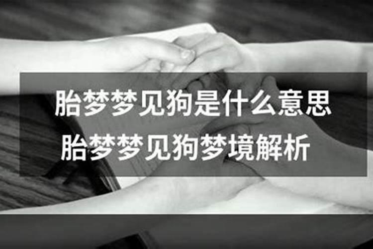 备孕梦到狗是不是胎梦