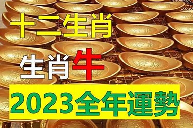 85年属牛未来10年运势 灾难年龄 三大坎？