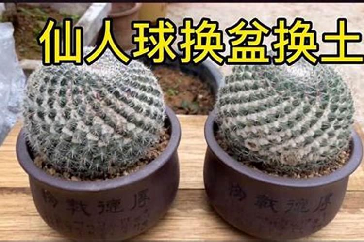 化解小人最厉害的方法
