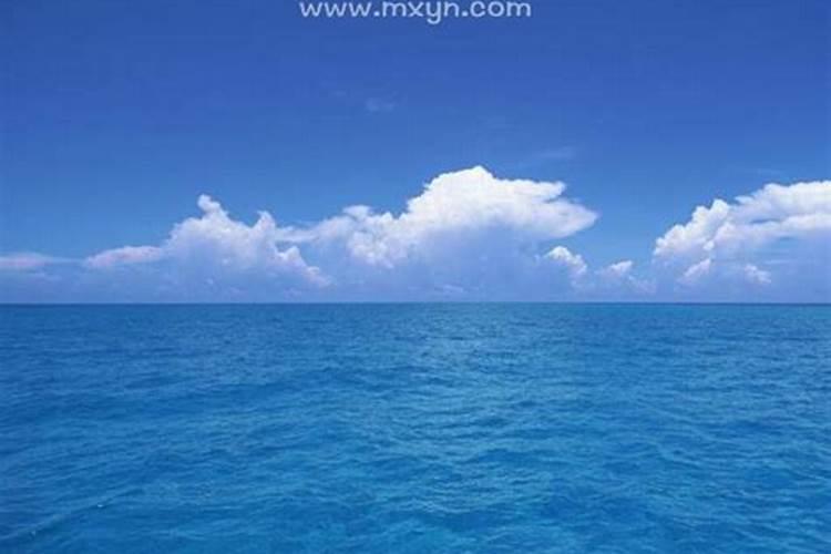 梦见海水中有鱼的预兆