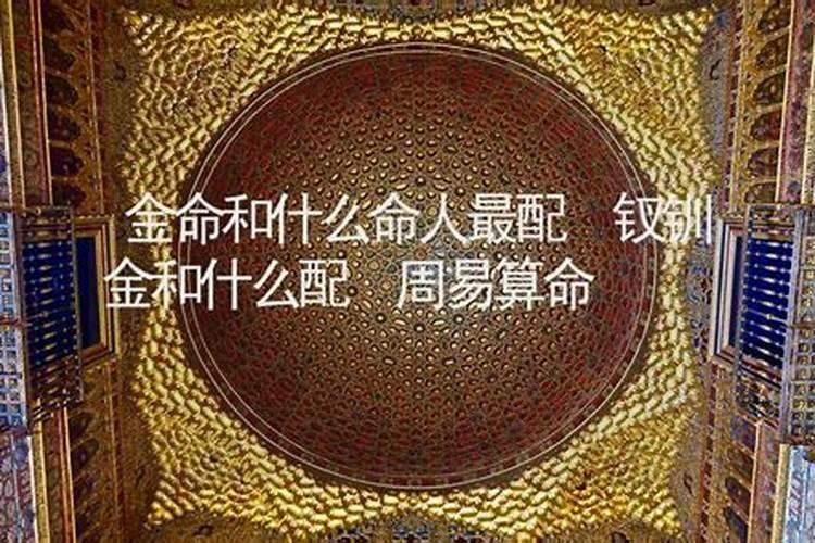 属龙的沙中土命最佳配对 和什么命不合