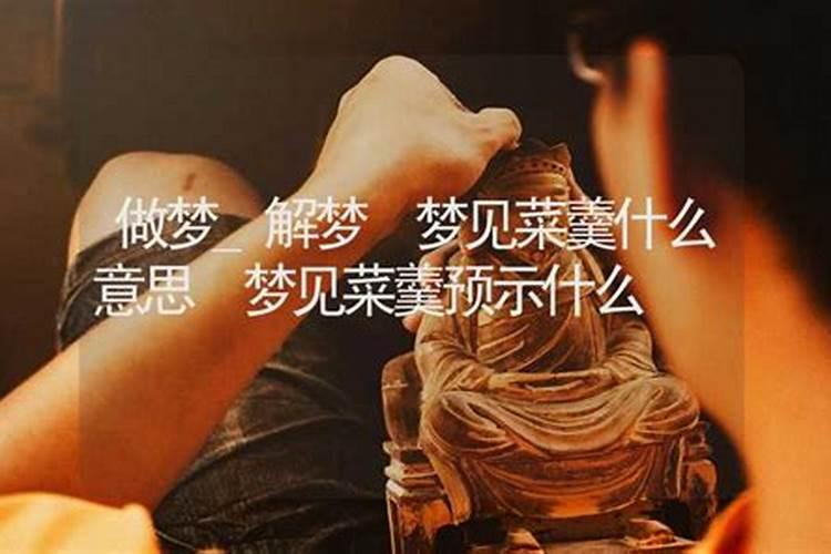 梦见自己抢了别人很多菜的预兆