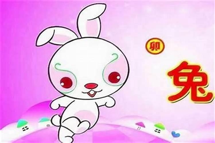 属兔的女孩最佳取名