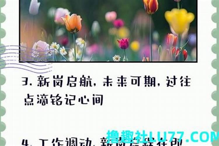 梦见领导是什么预兆