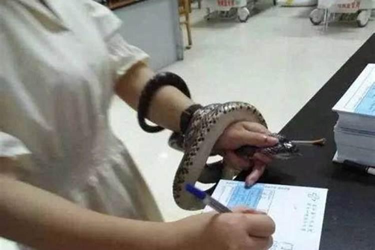梦到好多蛇还被蛇咬了预示着什么
