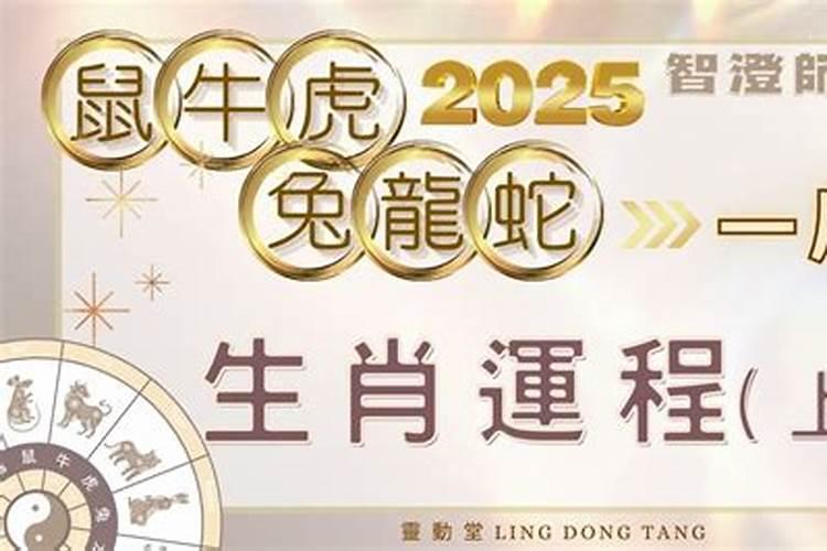 2025生肖蛇的运势大全 属蛇人2025年每月运势
