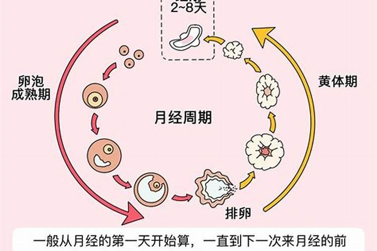 九月初九怀孕预产期是,我是9月6号来月经9月10号结束,我怀孕了请问我百...