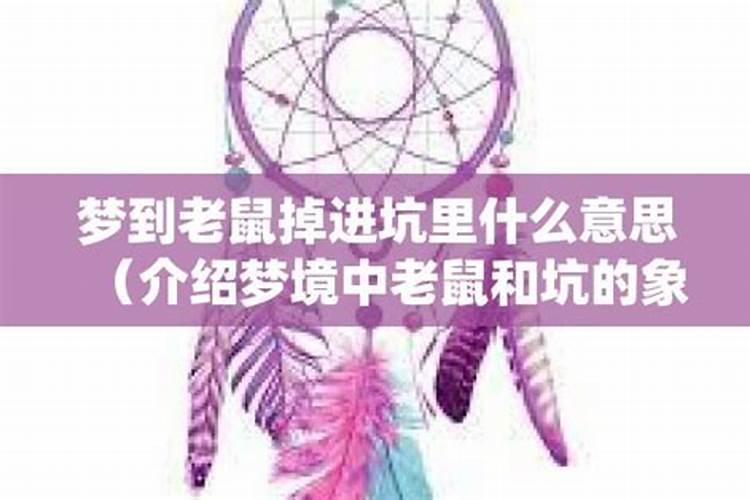 梦见抓老鼠又跑了的预兆