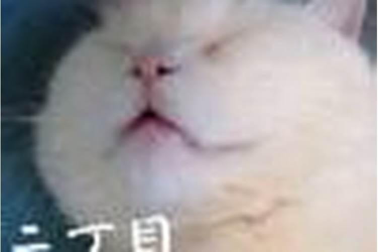 梦见一个人是他在想你还是你在想他