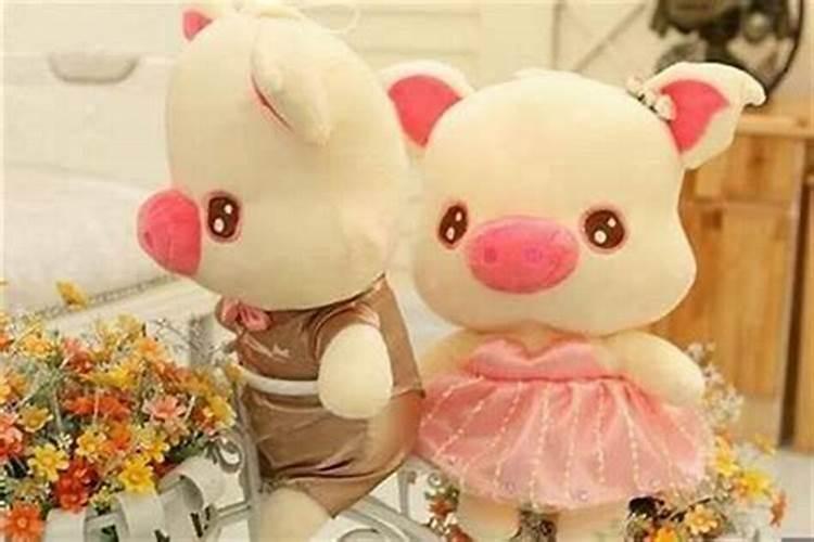 属猪女穿什么颜色衣服旺财属猪人永远最旺的颜色是什么
