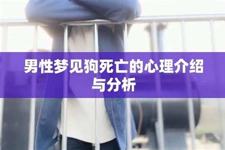 男人梦见狗的解释 男人梦见狗是什么意思