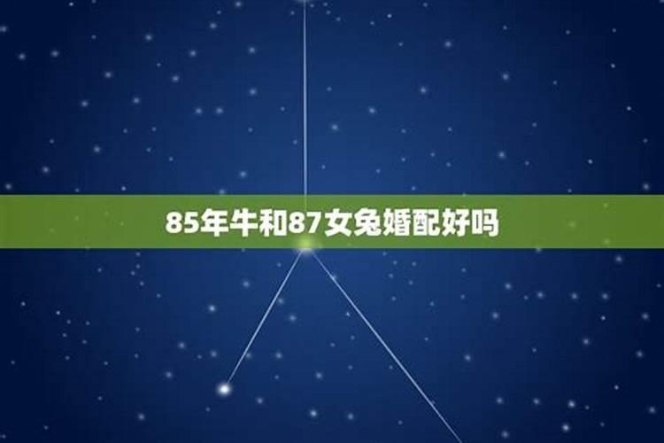 85年女牛和99年男兔相配婚姻如何？
