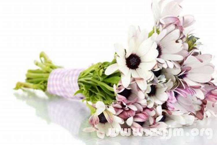 梦见人家结婚带白色的花