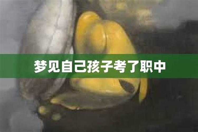 1972年鼠在2025年每月运势