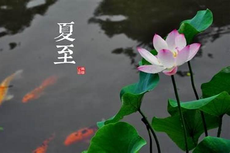 夏天节气顺序 属于夏季的节气都有哪些？