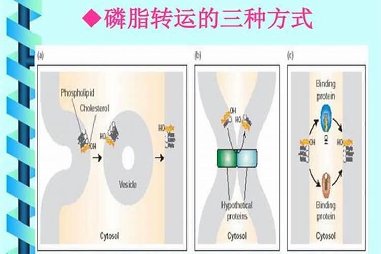 转运方法真的管用吗,怎样能转运呢？真的是否极泰来吗？