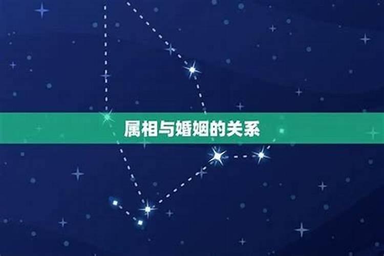 第二类童子前世是什么