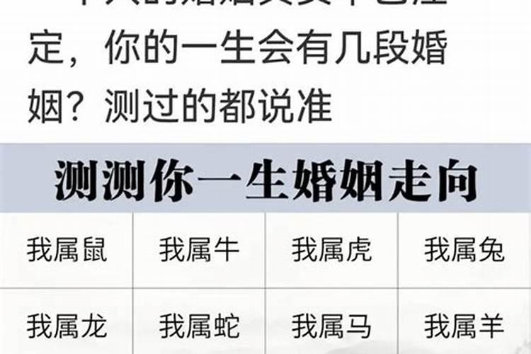 免费测算个人婚姻运势软件推荐