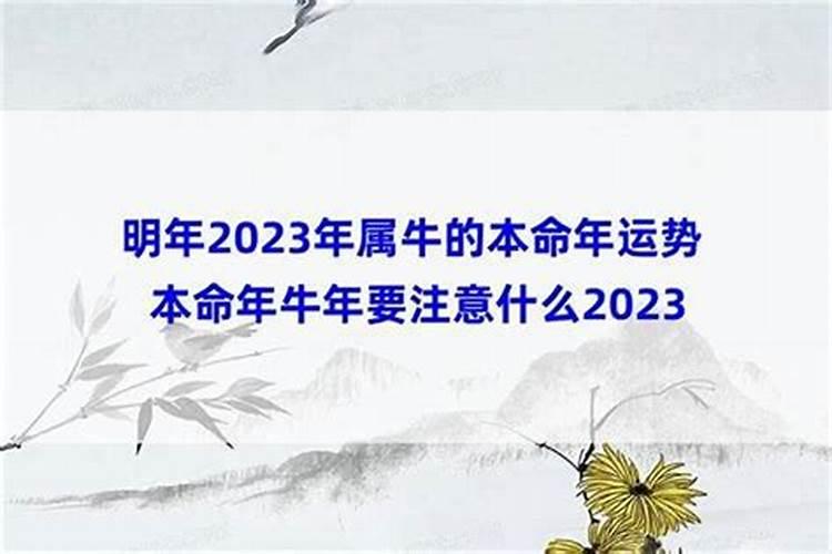 2025年是什么年五行属什么