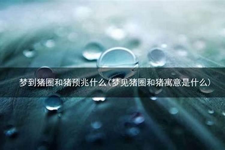 梦见一头大白猪什么意思 梦见一头大白猪啥意思