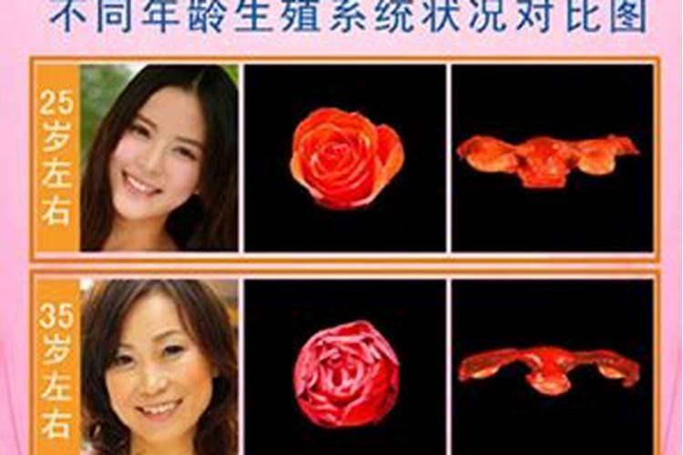 梦见大红花的预兆