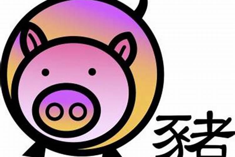 属猪的生肖本命佛是什么