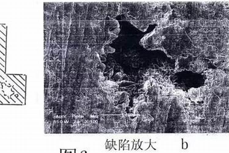 塌腮是什么意思