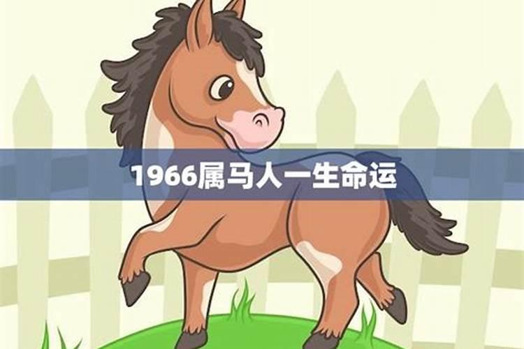 属马人2025年全年运势运程