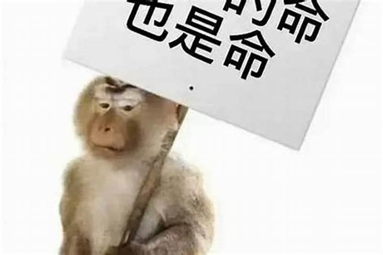 清明节人们都要干什么
