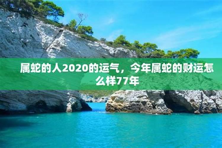 77年属蛇人今年运势77年属蛇人不同出生月份的命运