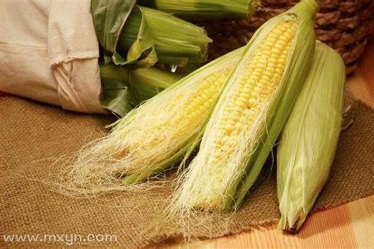 梦见甘蔗和玉米什么意思