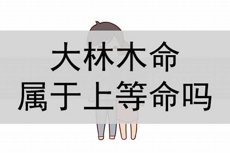 1988年农历5月17日早上5点到6点出生女的什么命？