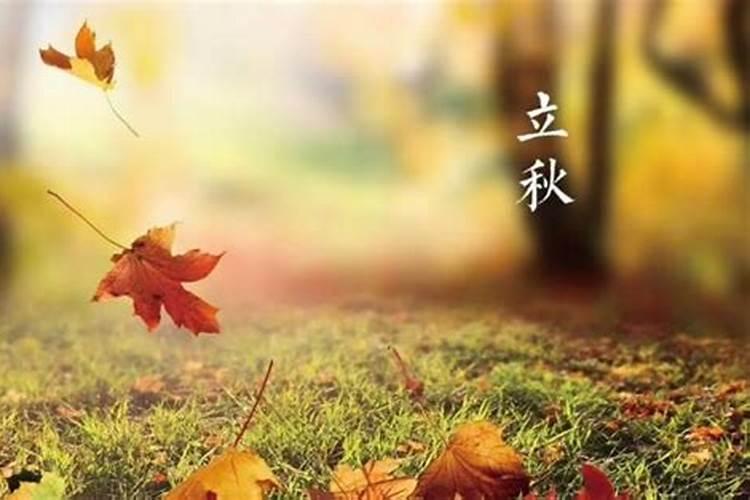 2022立秋祝福短信