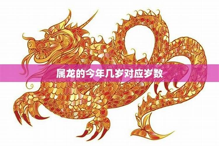 龙年人2024年运势及运程 属龙2024年的运势每月