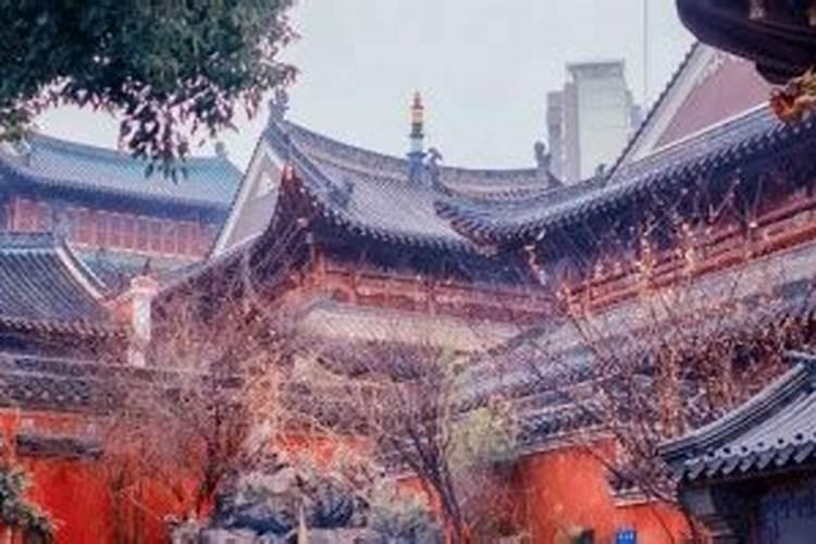 91属羊4月的命运财气好吗