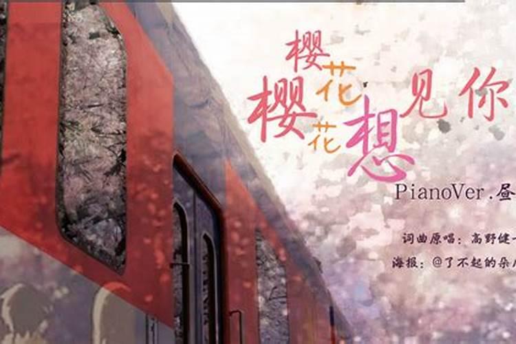 清明樱花祭歌词的故事
