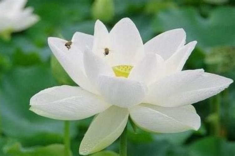生活中有什么样性格的人在婚姻中多半过的不幸福？
