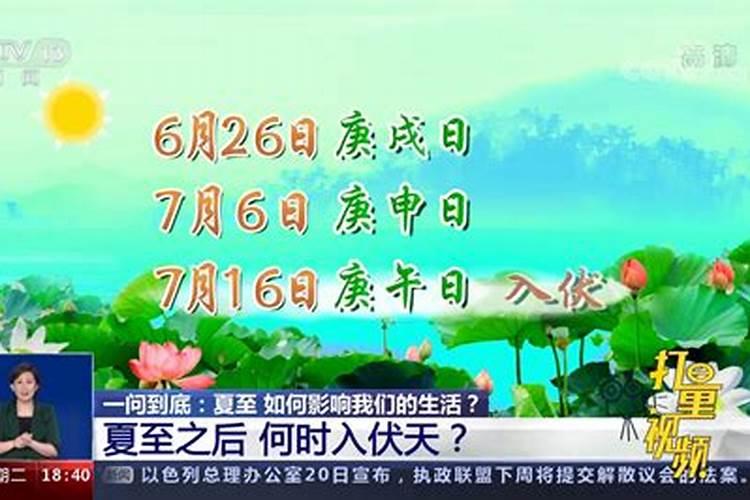 三伏天有什么说法