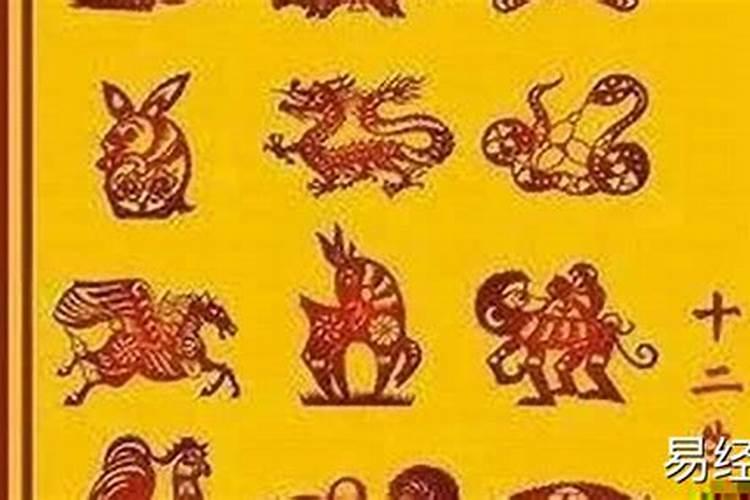 属牛人的贵人在哪里