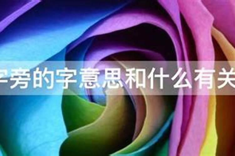生辰八字 哪个重要