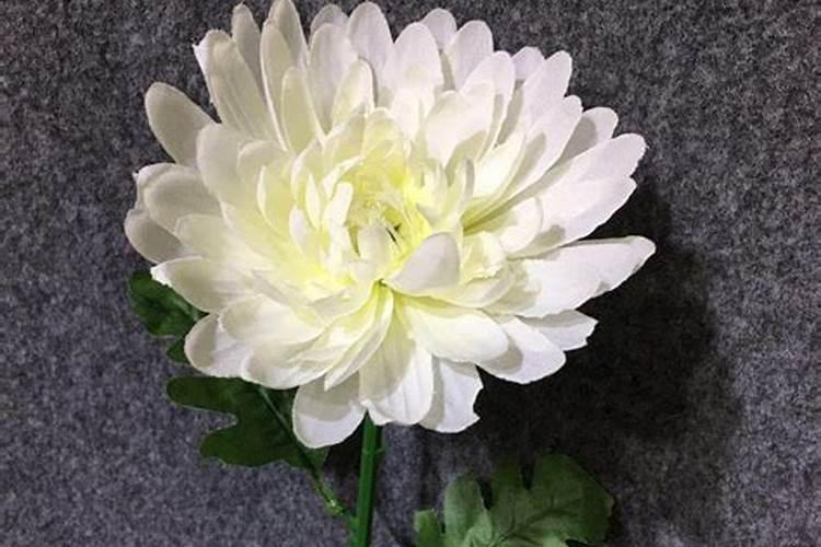 清明节扫墓花束哪里买