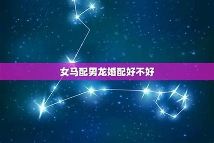女龙男马属相婚配好不好